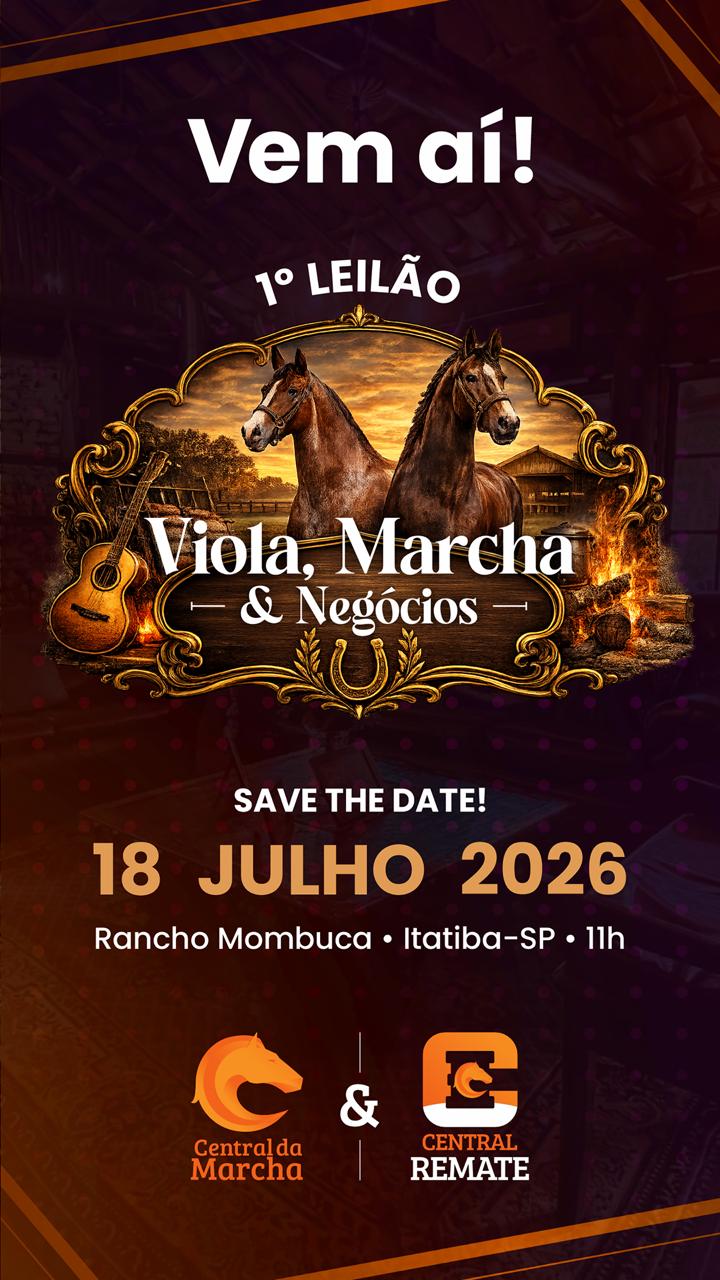 1° Viola , Marcha e Negócios - Central Remate