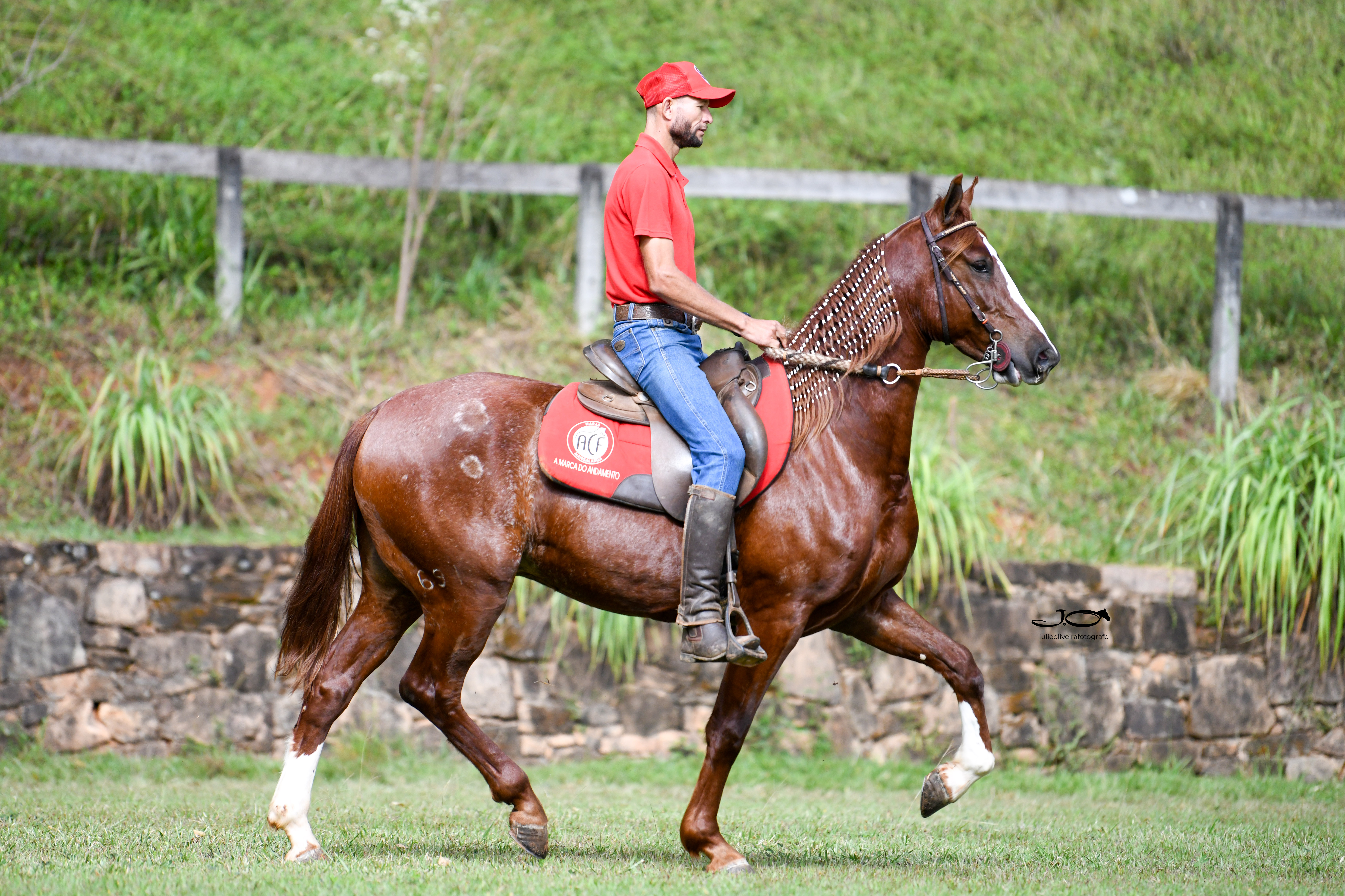 RITMO ACF ( CASTRADO)